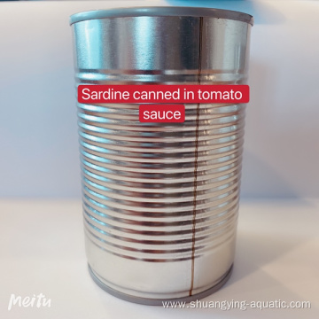 425g Canned Sardine Fish In Tomato Sauce Price